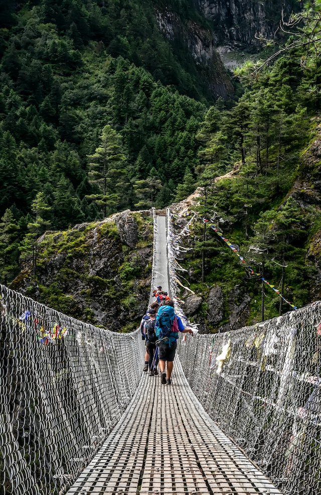 Hiking on a suspension bridge in the middle of the forest