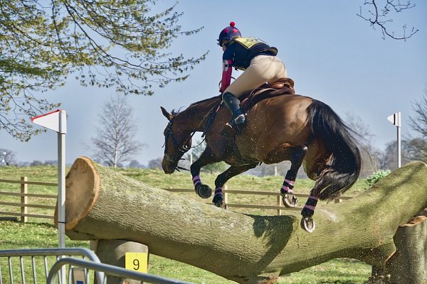 assurance equitation pour vous