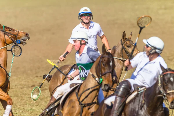 photo-polocrosse-horse-player