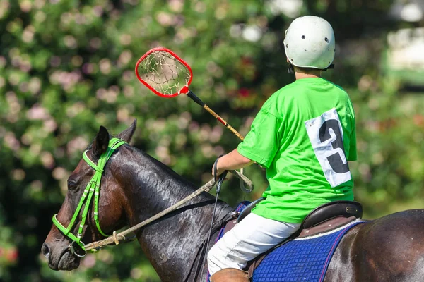 polocrosse-game-closeup-action